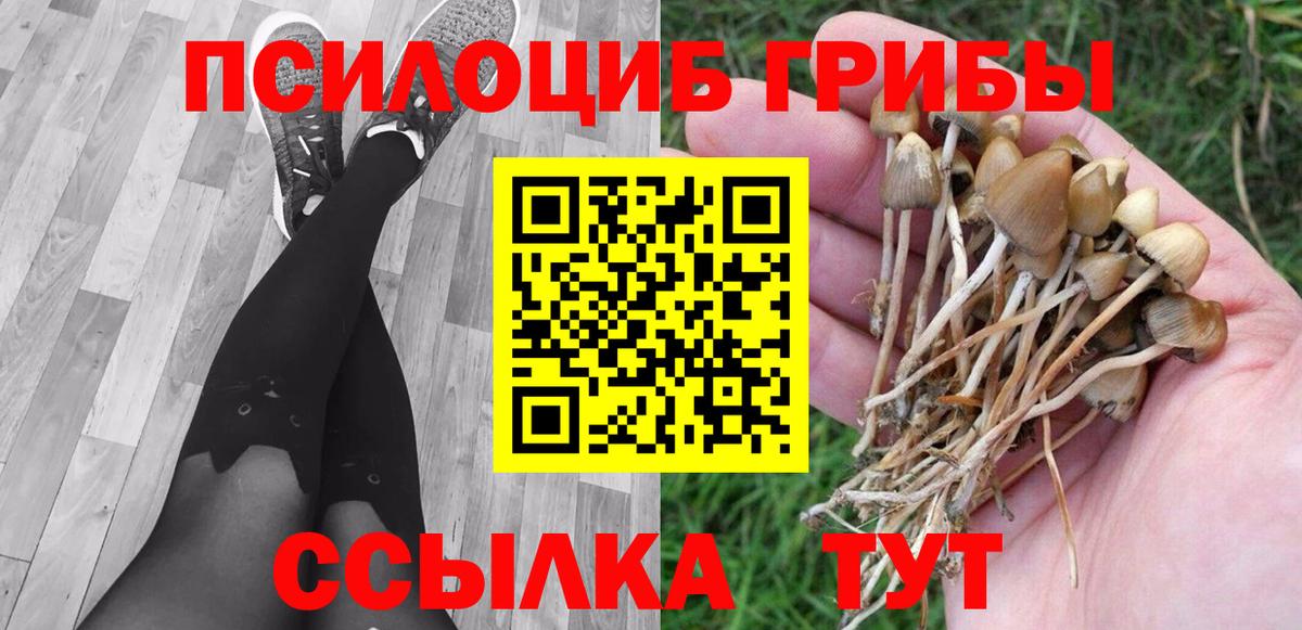 Псилоцибиновые грибы GOLDEN TEACHER  Вход с VPN  Псилоцибиновые грибы GOLDEN TEACHER  купить наркоту  Сегежа 